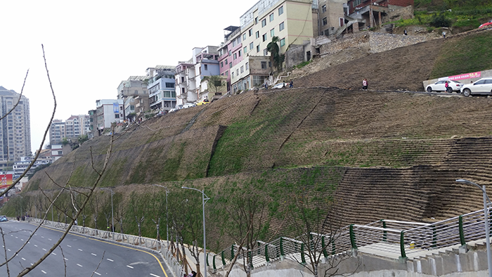 2020061815924666211550218976.png 施工后一個月2.png