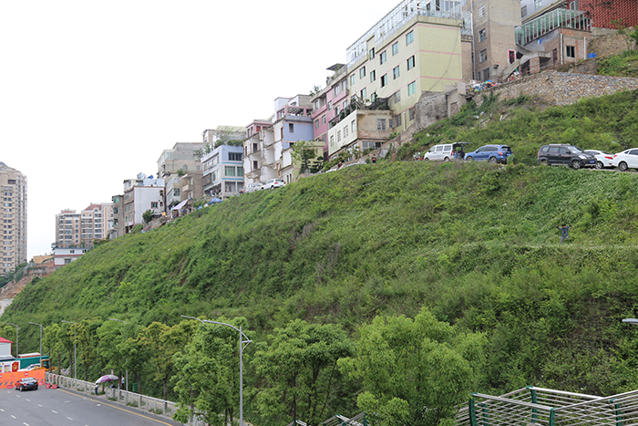 2020061815924666791551192902.png 施工后一年.png