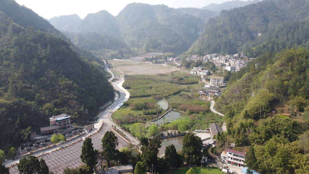 2021111516369605181515183408.jpg 前1.JPG